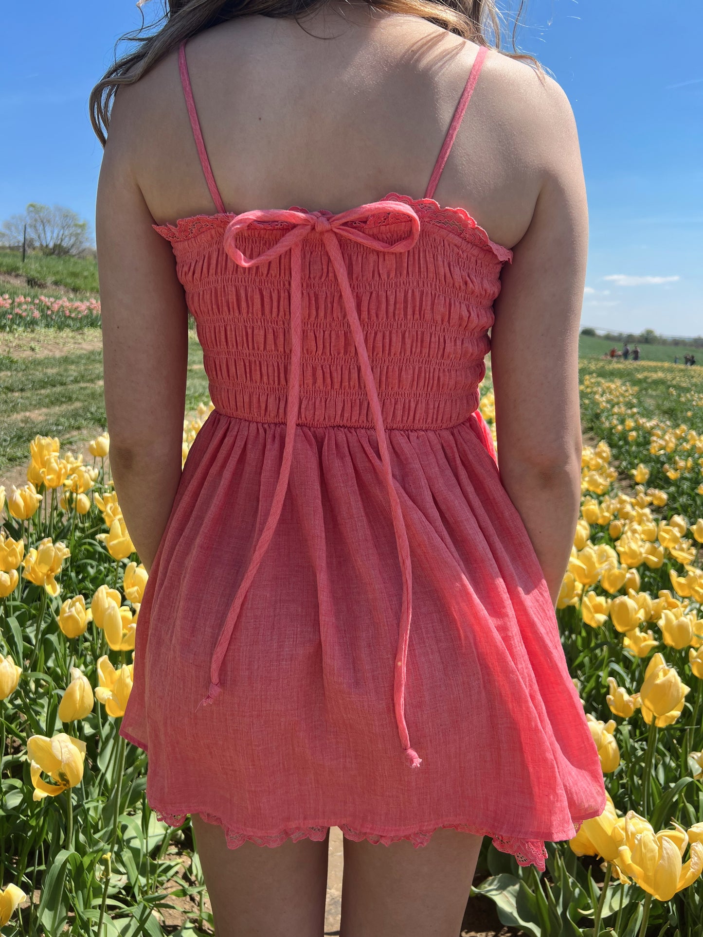 Coral Dream
